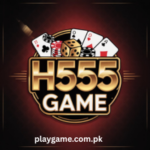 H555 Game