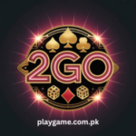 2Go Game
