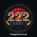 222rs Game